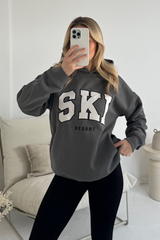 Ski resort steel grey embroidered applique relaxed hoodie