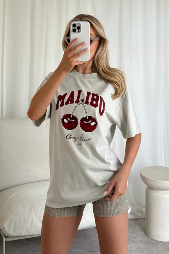 Malibu stone faded printed heavyweight t-shirt
