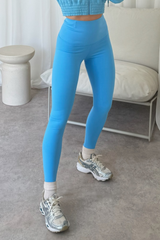 Grace Blue Seamless Leggings Activewear