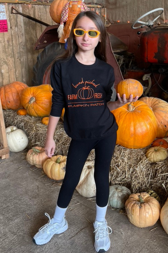 Mini Pumpkin patch black embroidered sweater