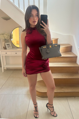 Bella burgundy velvet rose mini dress