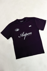 Aspen Ski burgundy printed heavyweight t-shirt