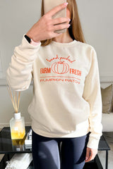 Pumpkin patch ecru embroidered sweater