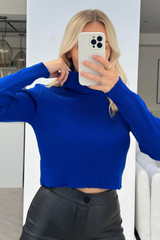 Halley blue cropped roll neck sweater