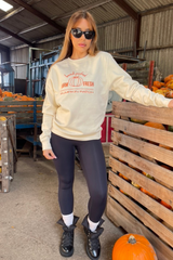 Pumpkin patch ecru embroidered sweater